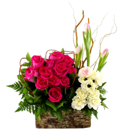 Heart Pup  includes a dozen hot pink roses, pink tulips, and white carnations in a dog shape