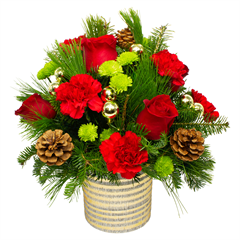 Christmas flowers with red roses, carnations, buttons & pine greens for Christmas flowers delivery.