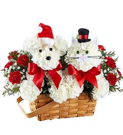 Christmas flowers with carnations and greenery for Christmas flowers delivery.
