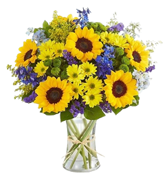 Fields of Europe Summer