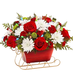 Christmas flowers with roses, carnations, mums and pine greens for Christmas flowers delivery.