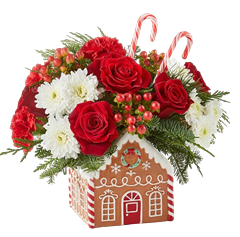 Christmas flowers with carnations, cushions, berries and pines for Christmas flowers delivery.