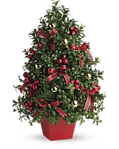 Christmas flowers with pine greenery for Christmas flowers delivery.